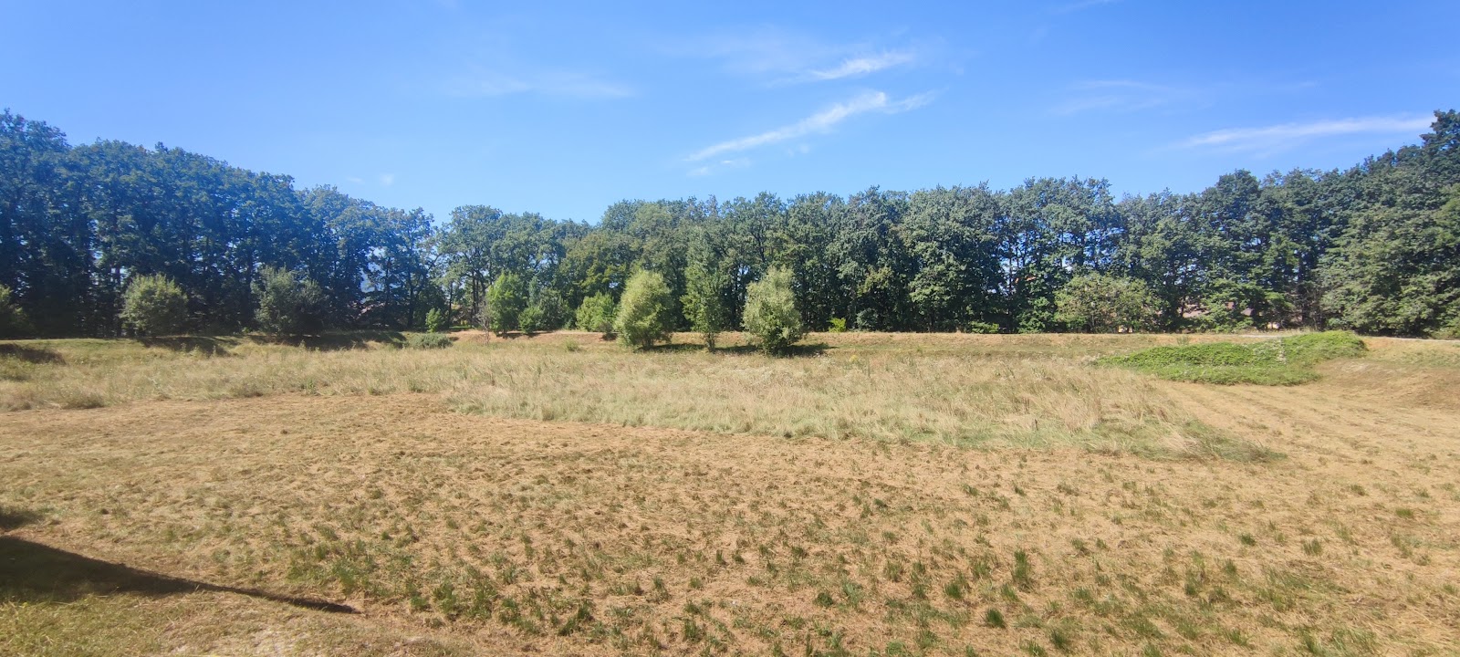parc des mouilles