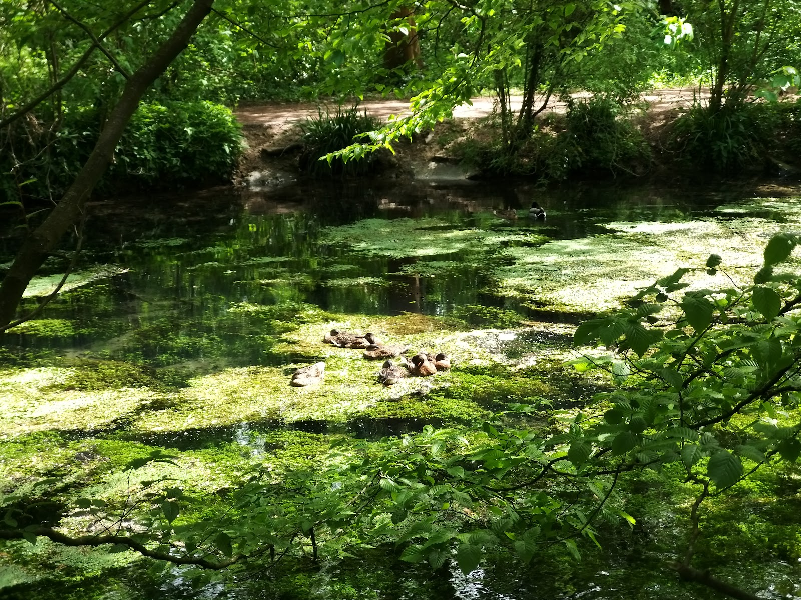 parc du biez