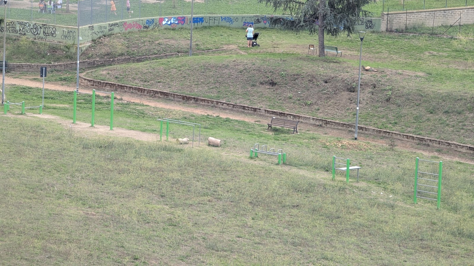 Parchetto Calistenics 1409