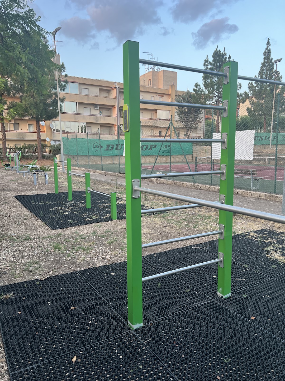 Parchetto calisthenics