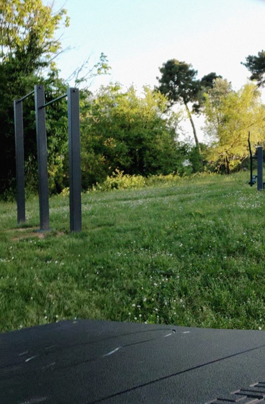 Parchetto Calisthenics