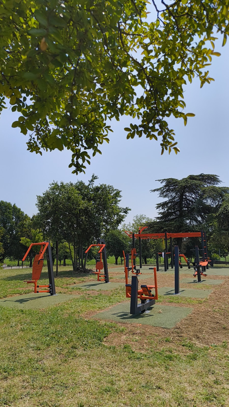 Parco calisthenics