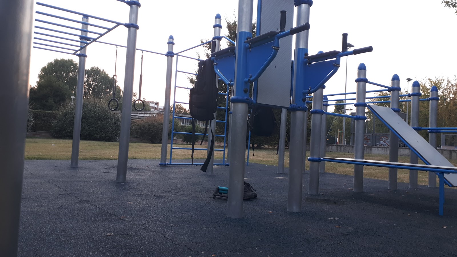 Parco calisthenics