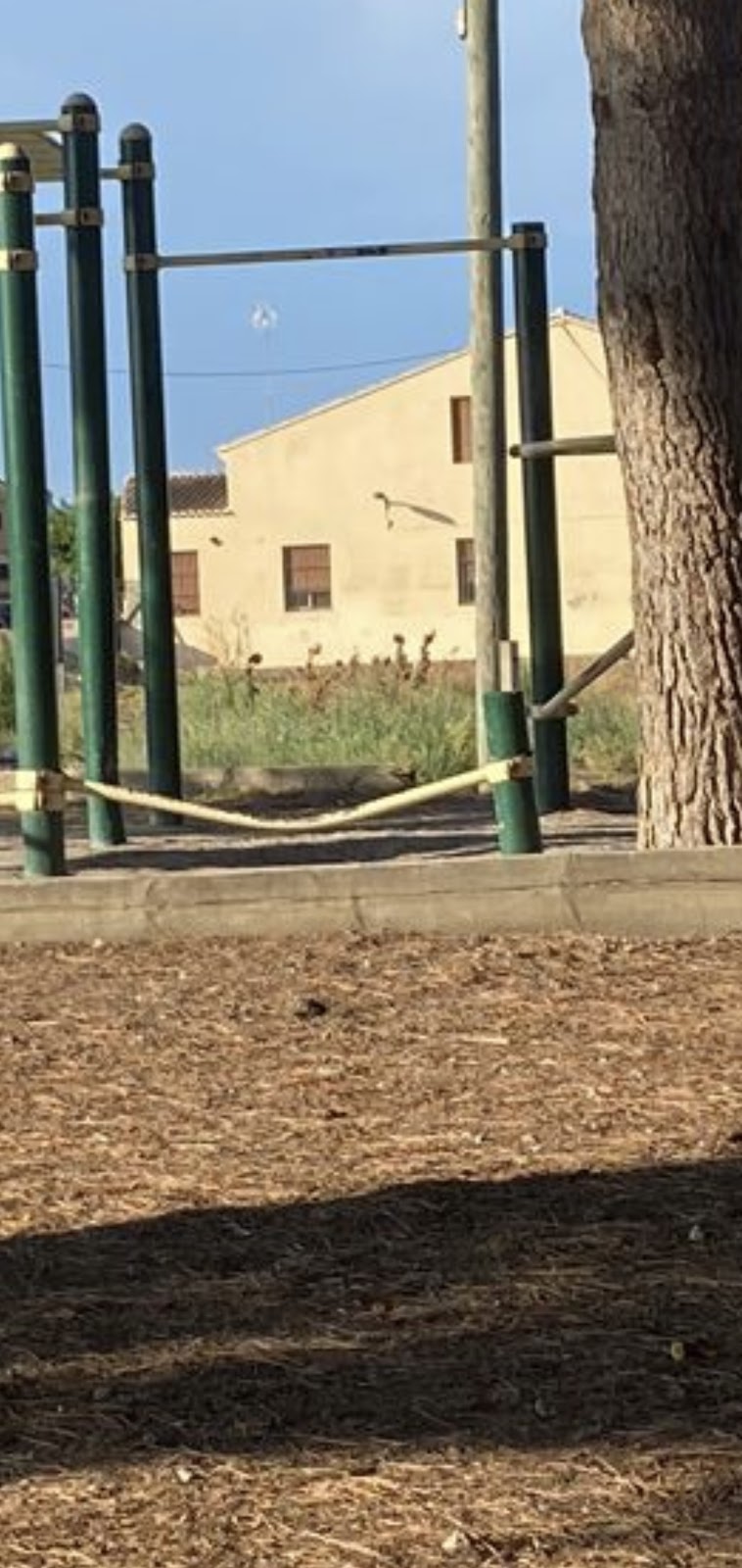 Parque de Calistenia