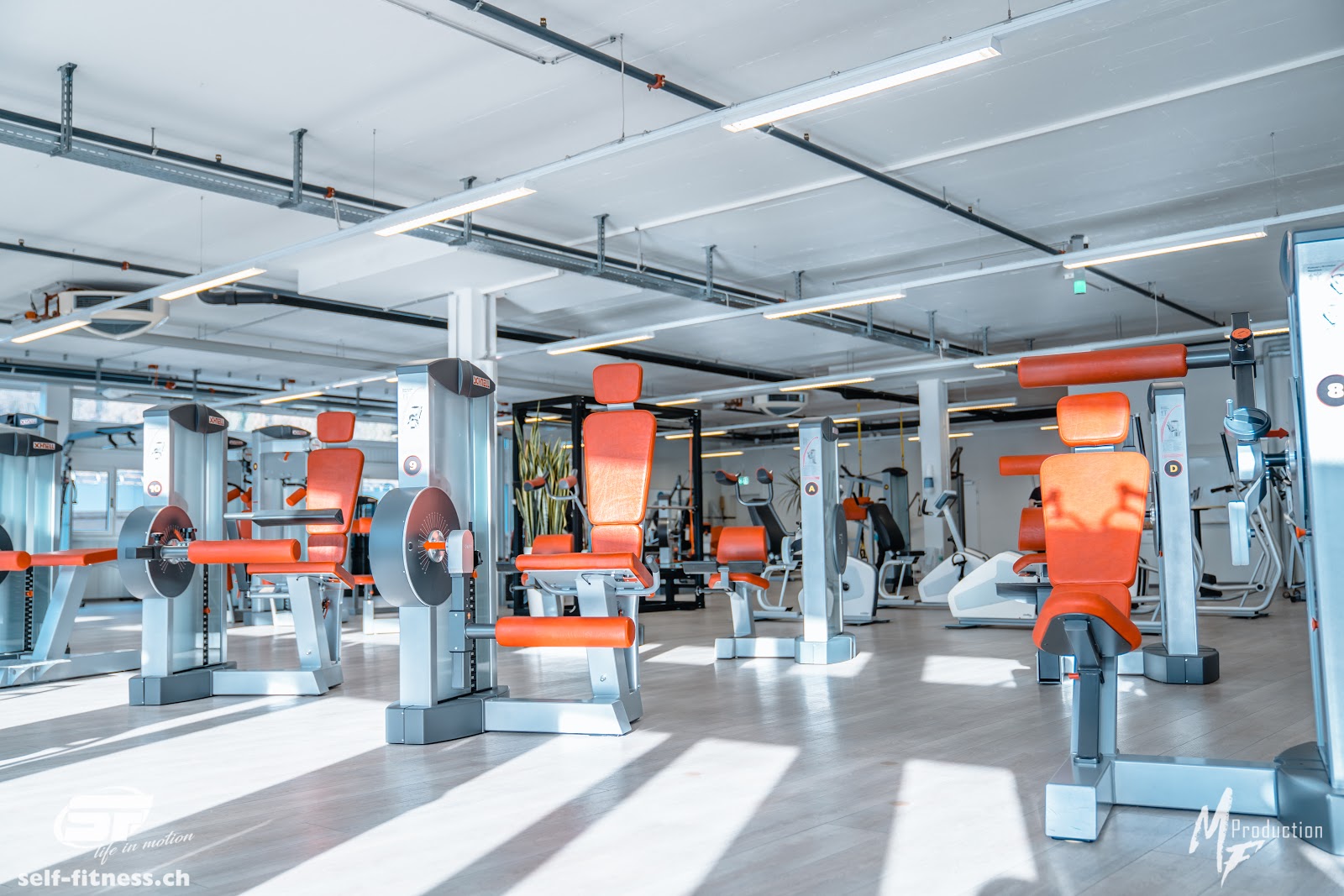self-fitness.ch AG (Interlaken)