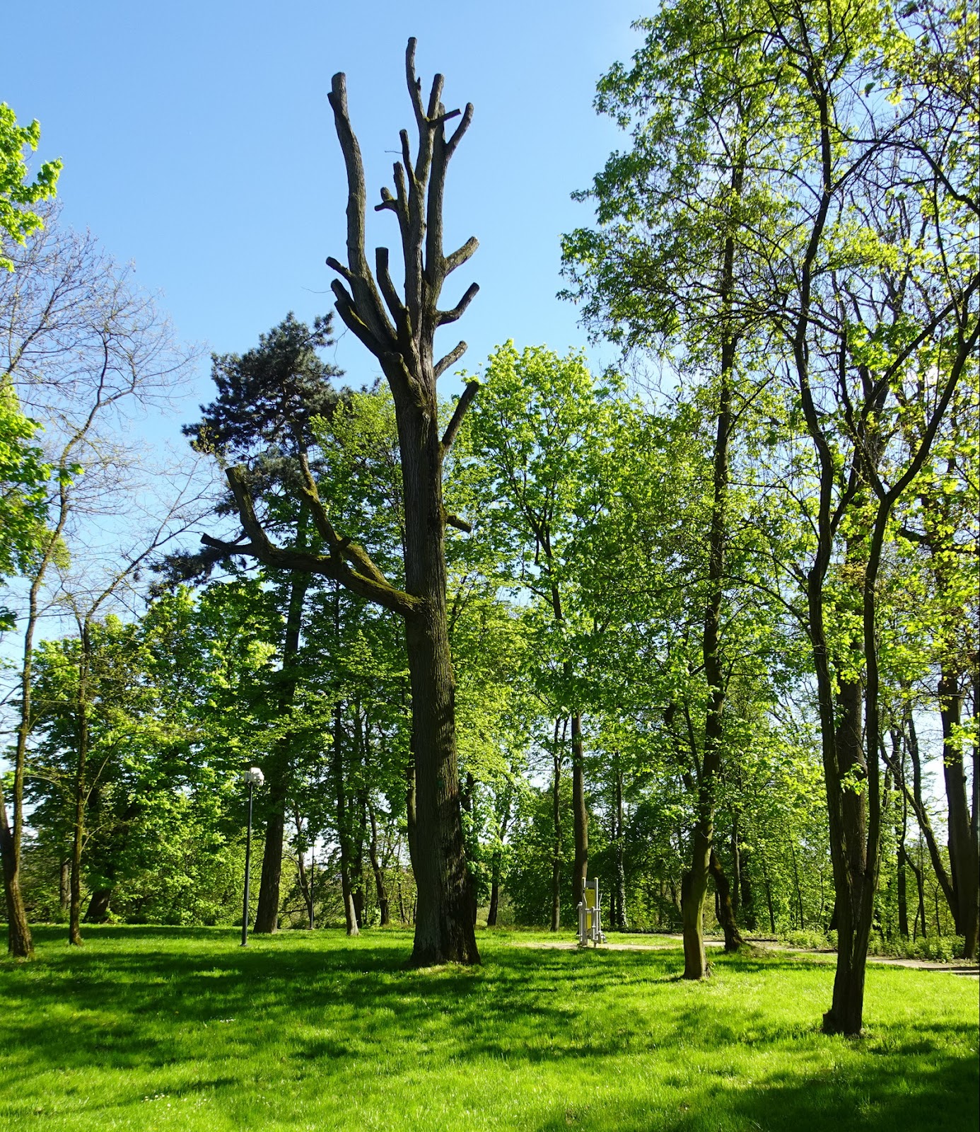 Siłownia zewnętrzna