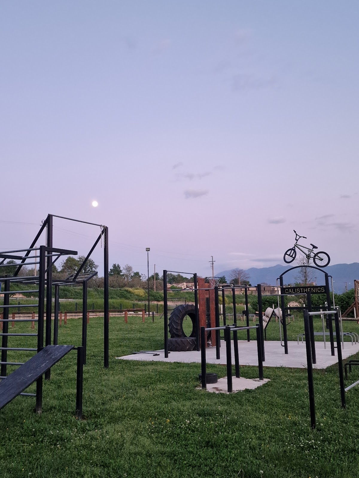 SPARTAN TRAINING & CALISTHENICS