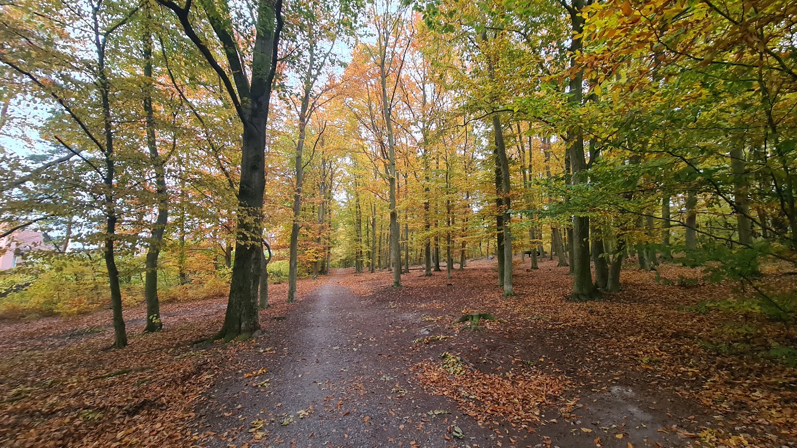 Špitálský les