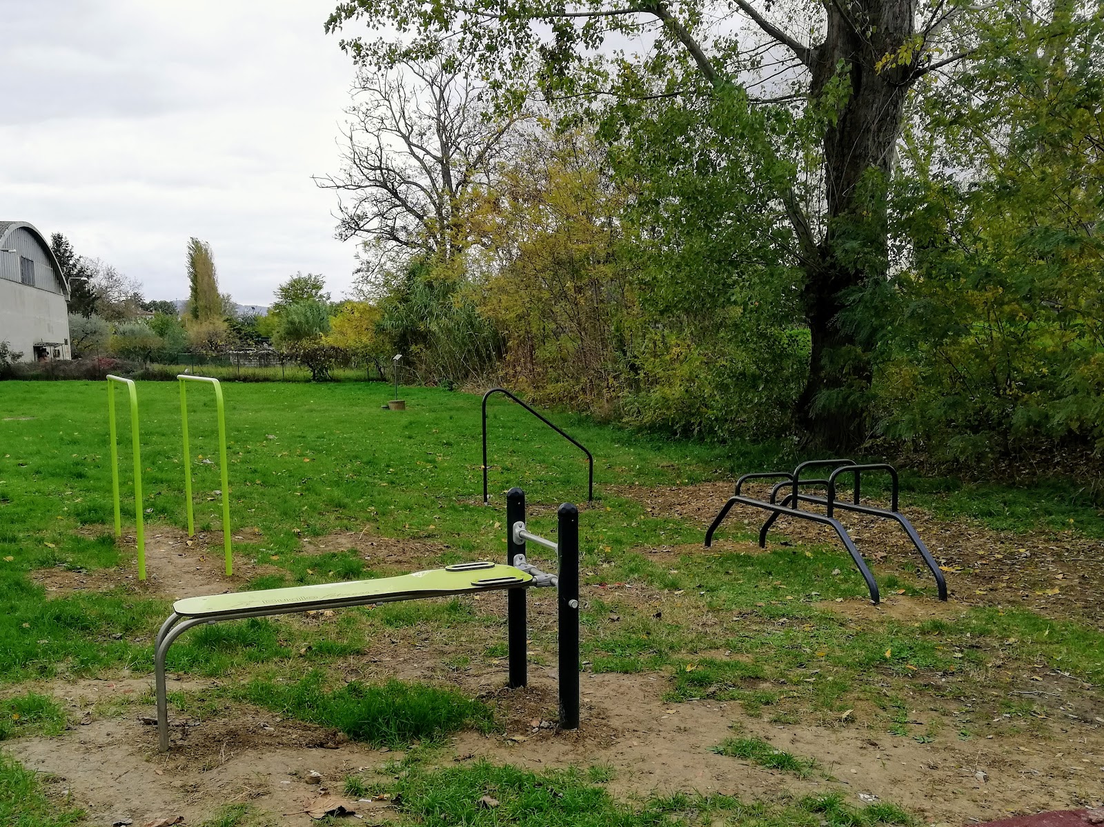 Street Workout Palestra Calisthenics Montelabbate