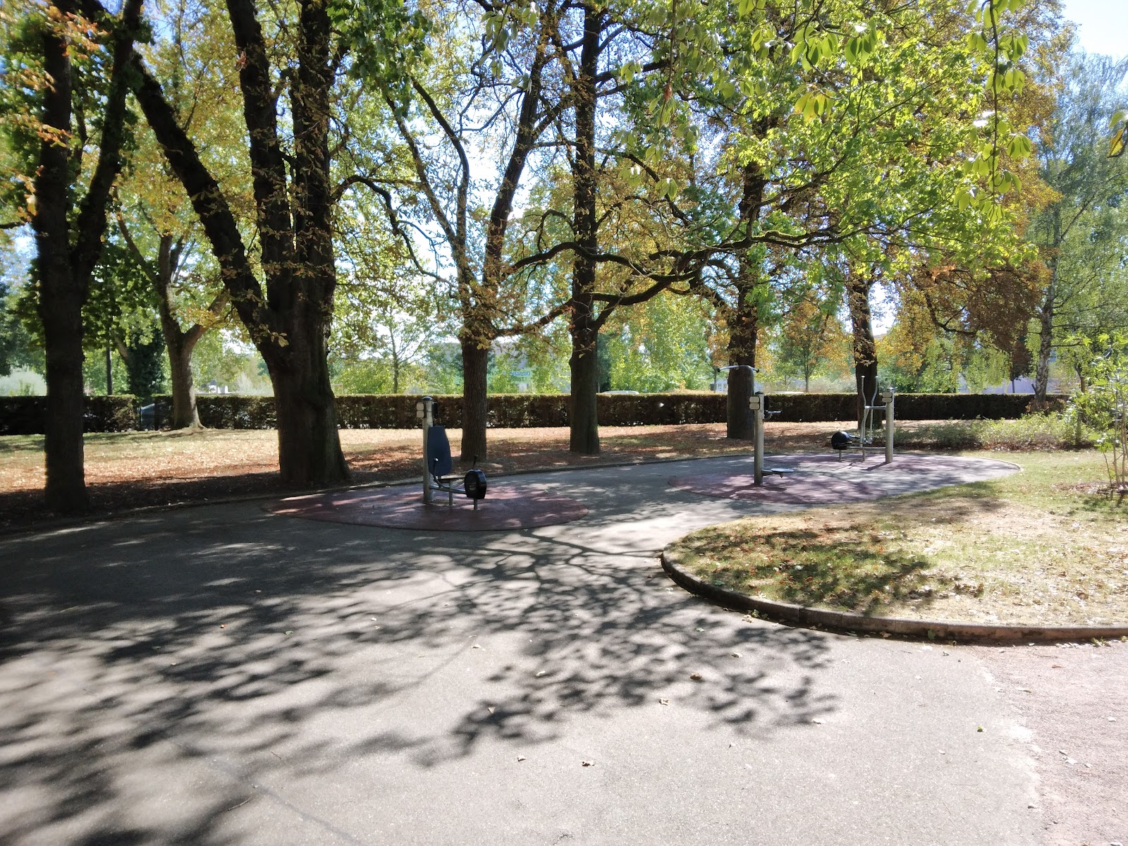 terrain sportif