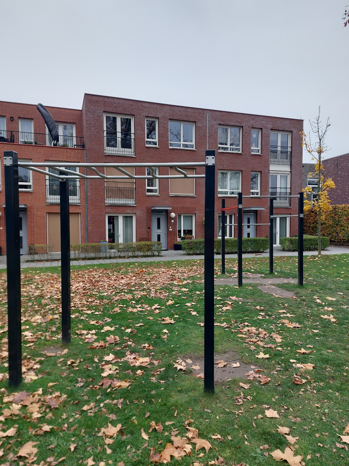 Workout Park