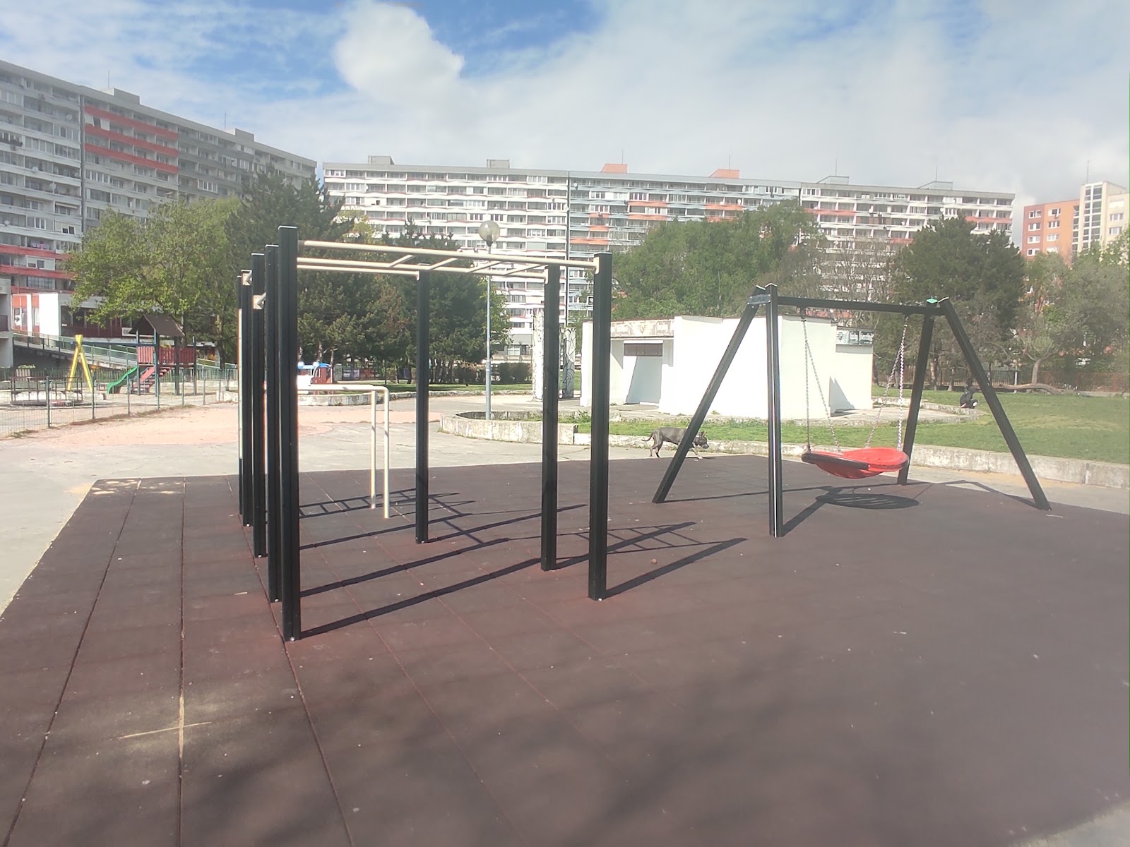Workout