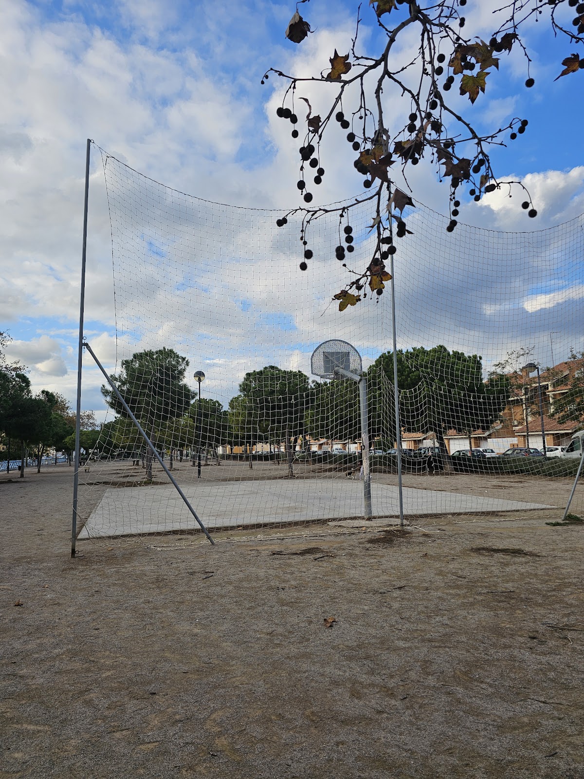 Aesthetics Gladiators Park(Calistenia)
