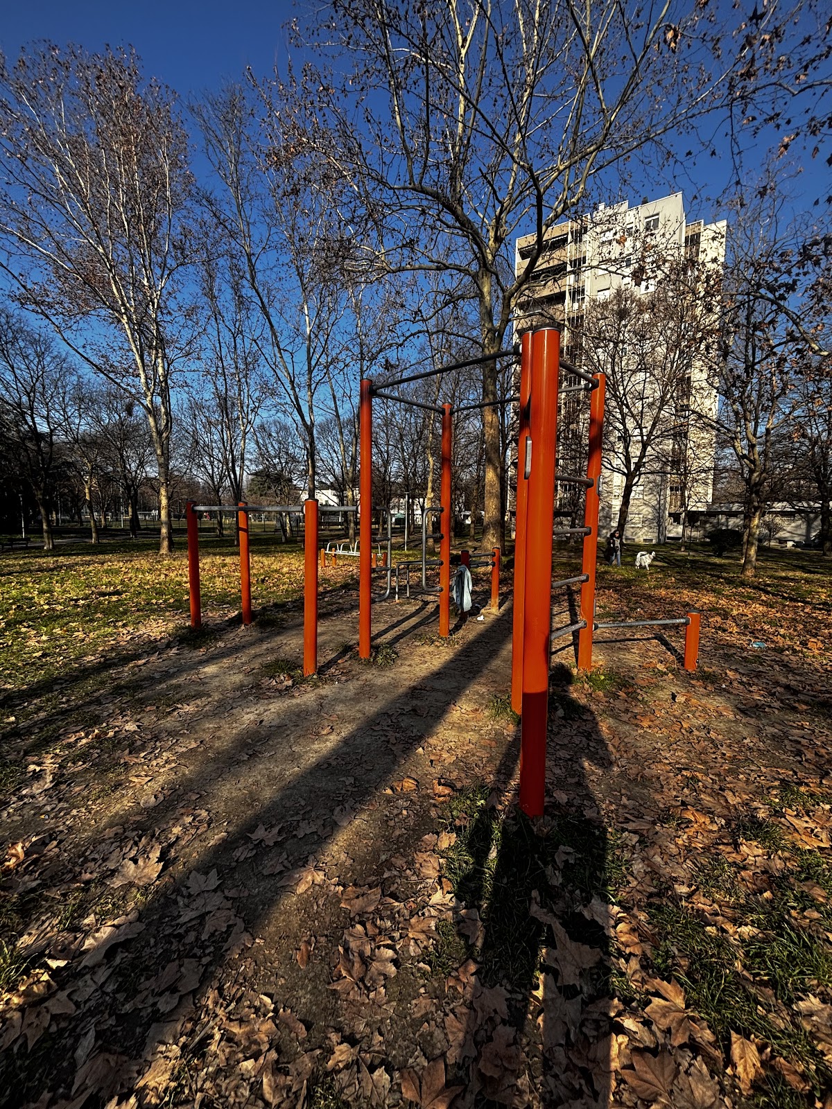 Area Calisthenics