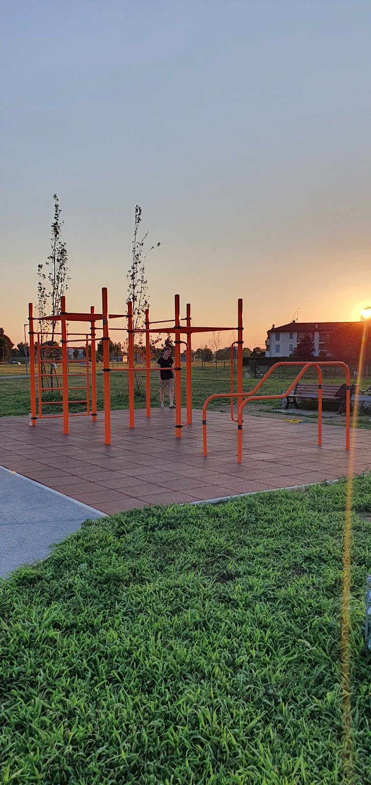 Area Fitness Calisthenics
