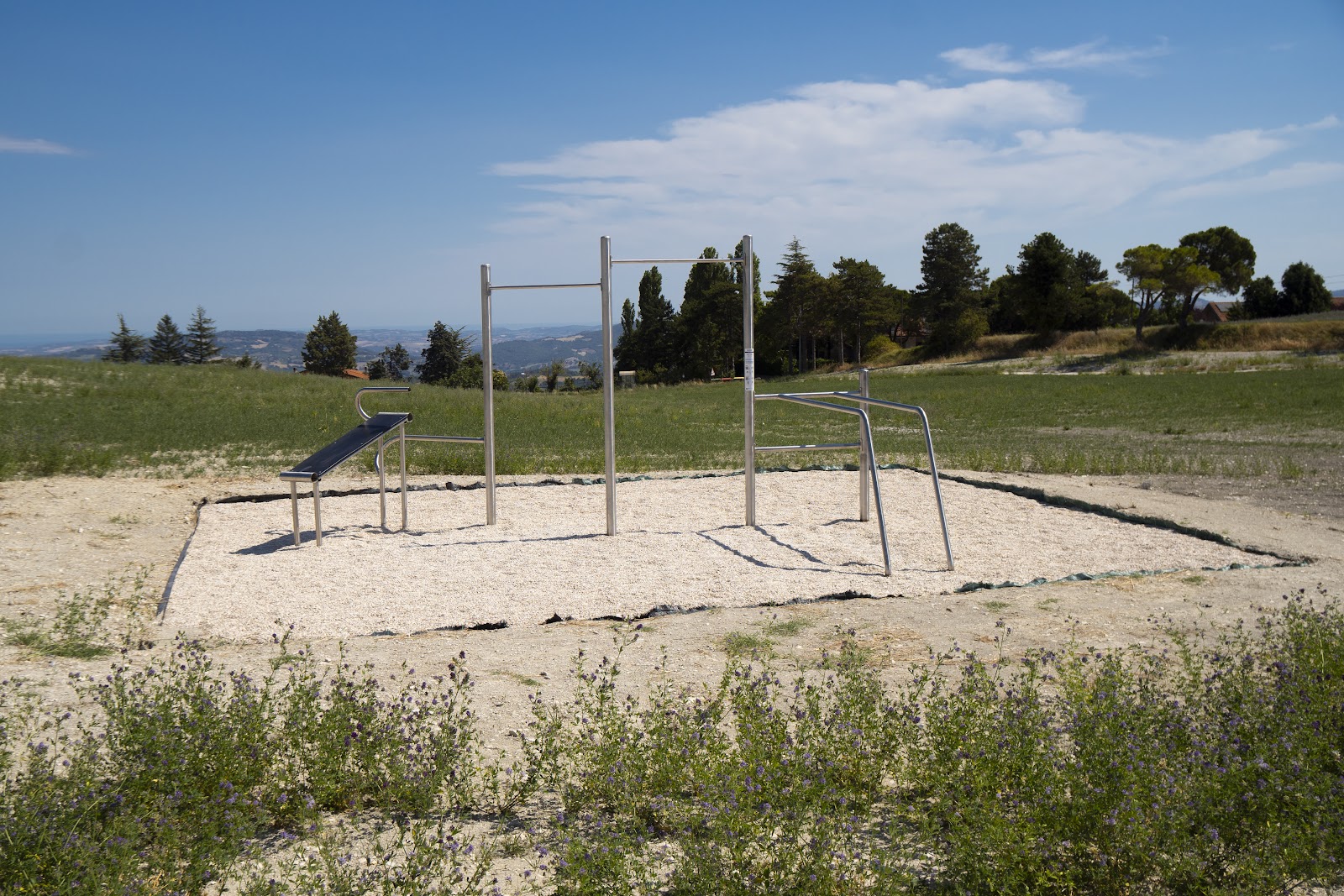 Area Fitness Calisthenics