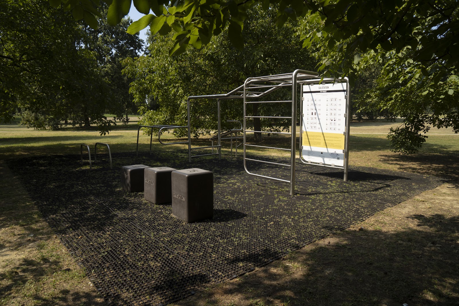 Area Fitness Calisthenics - Ferrara Parco Urbano