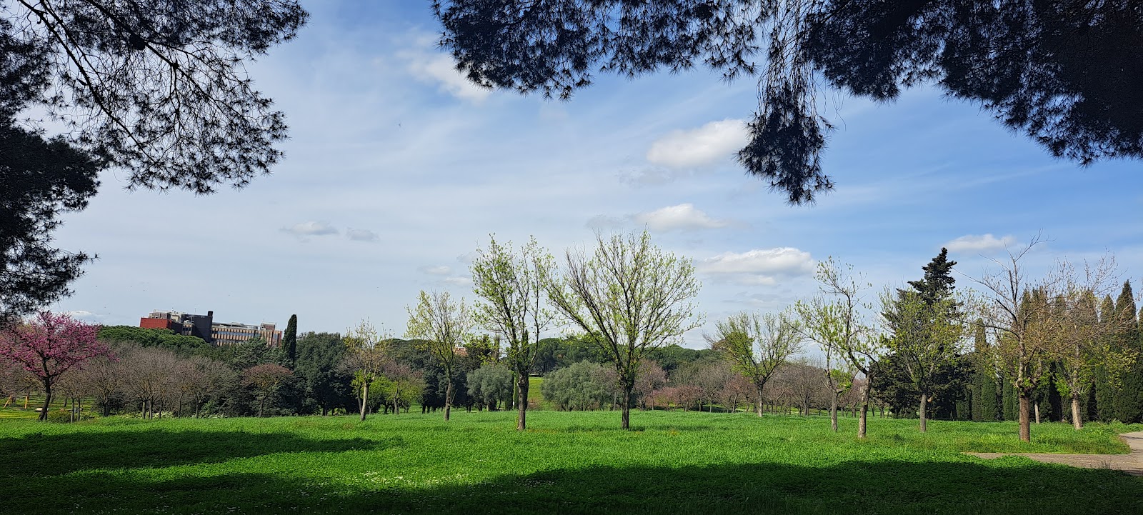 Area Fitness-Parco di Tor Tre Teste