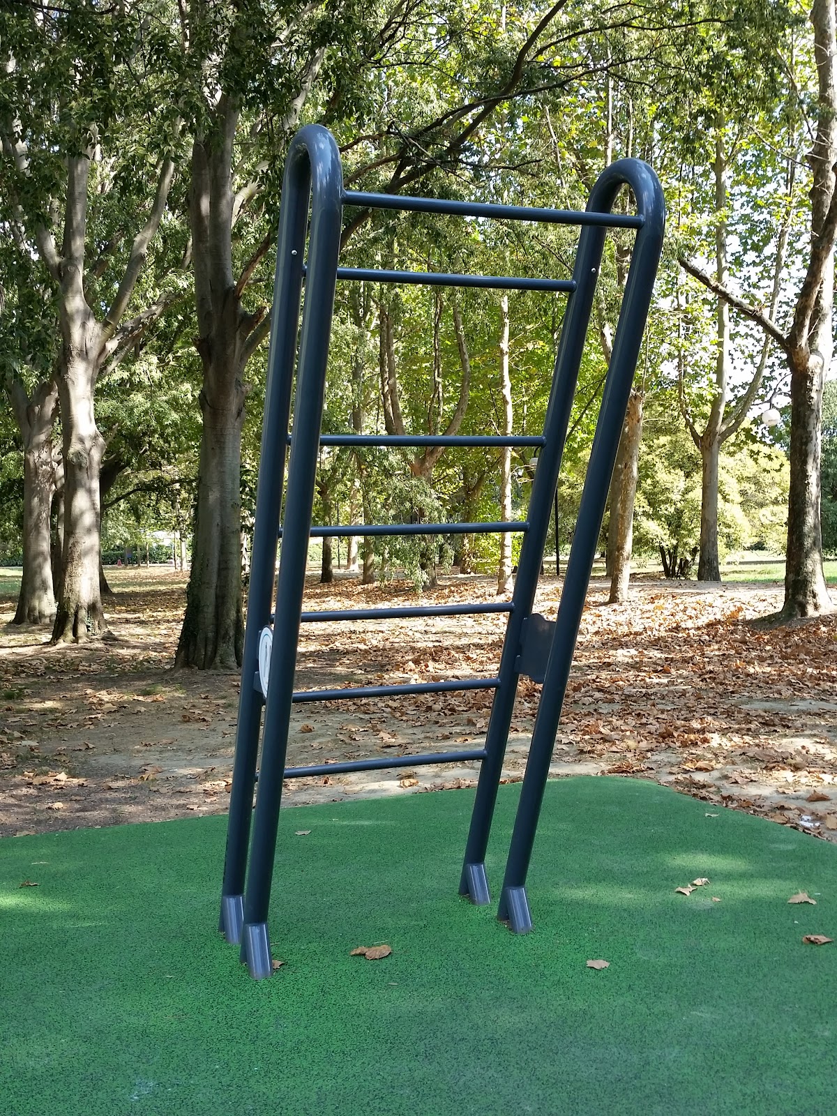 Attrezzatura allenamento a corpo libero