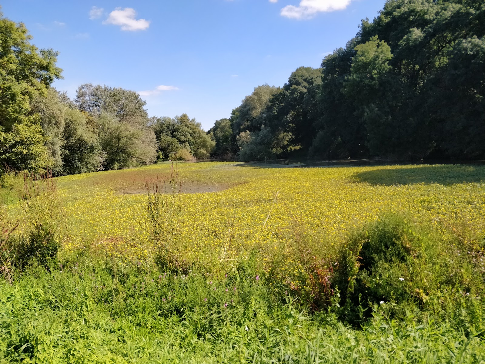 Beaulieu Park