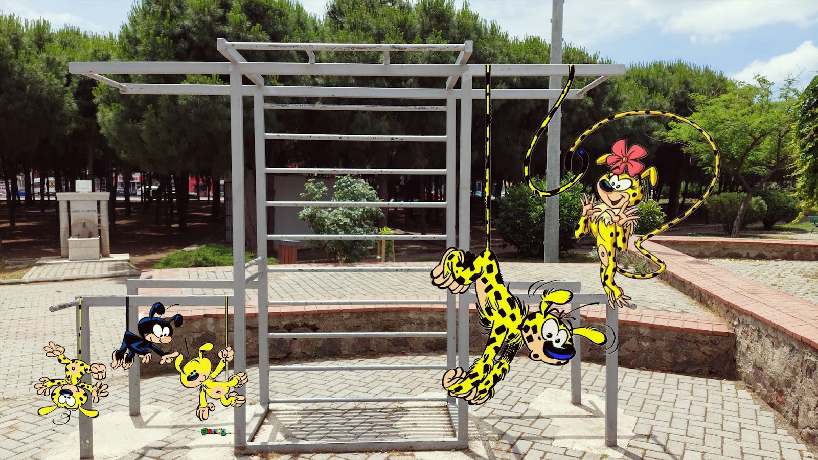 Çadonun calisthenics parkı