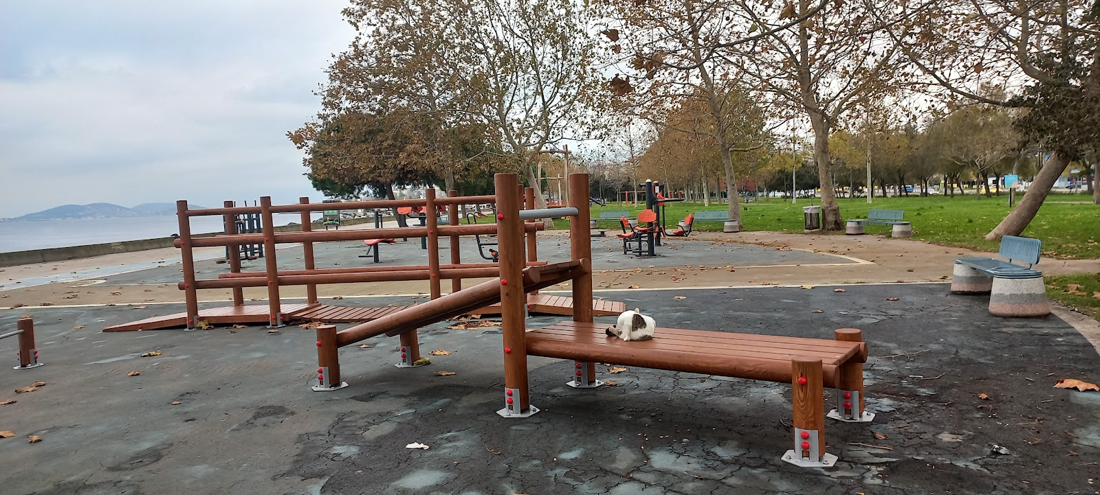 Calisthenics Alanı