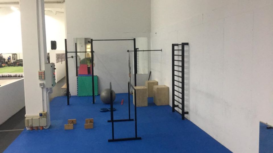 Calisthenics Euganea