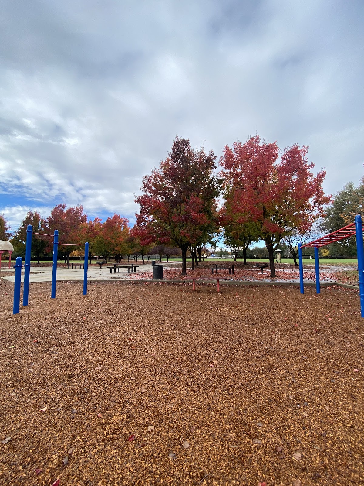 Calisthenics Park