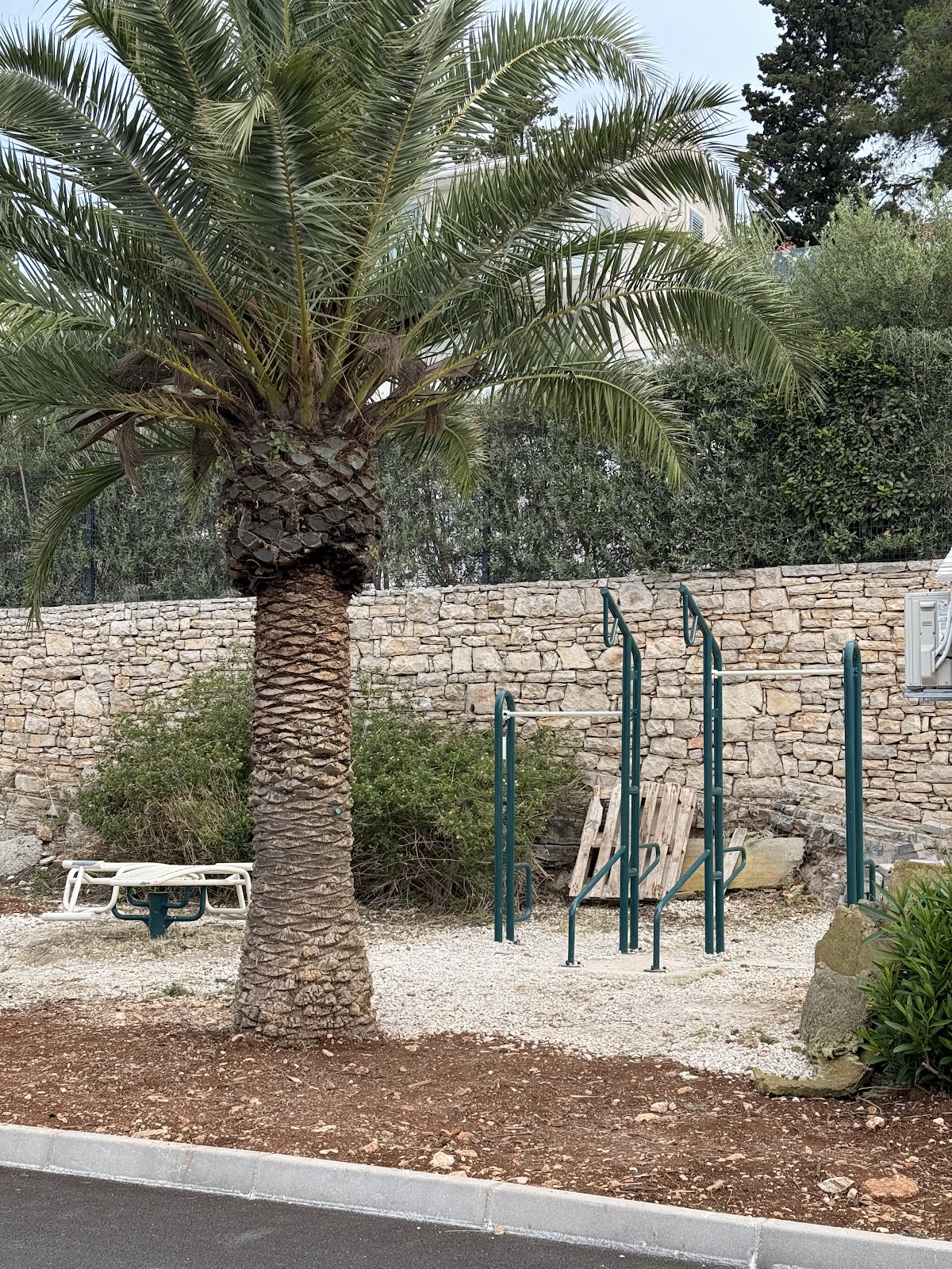 Calisthenics Park