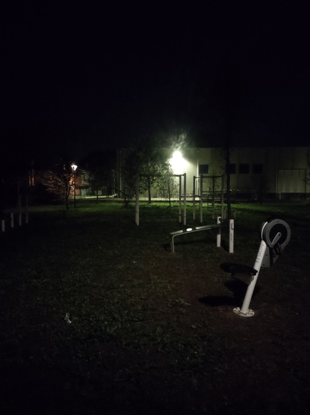 Calisthenics park