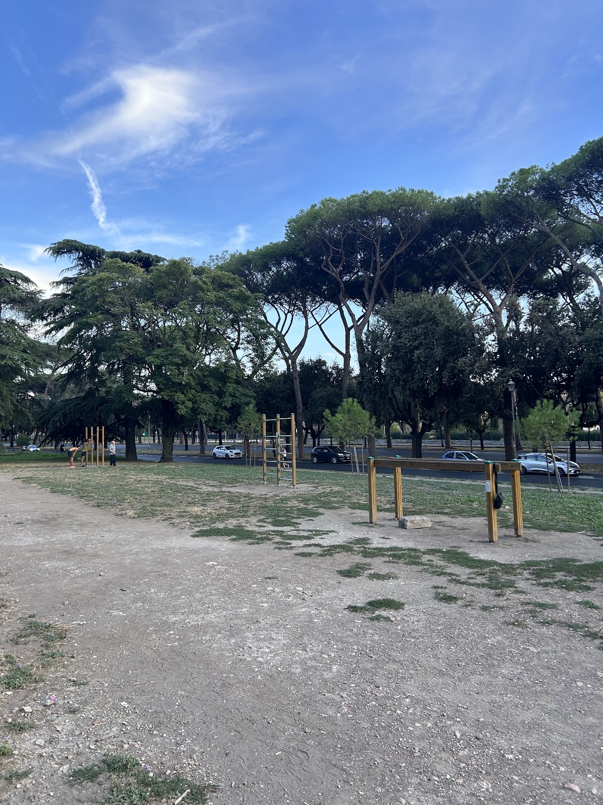 Calisthenics park
