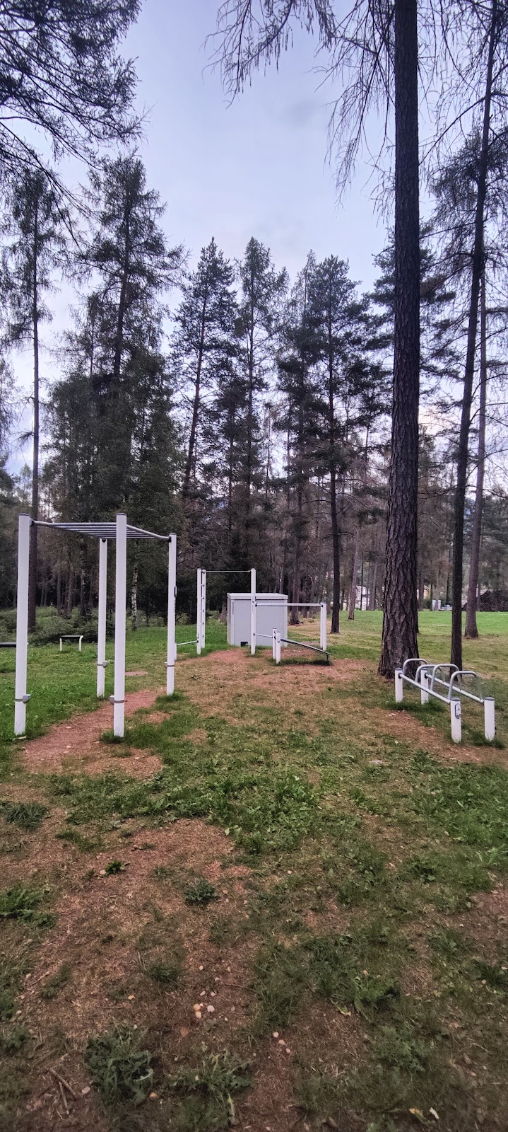 Calisthenics park piazzol