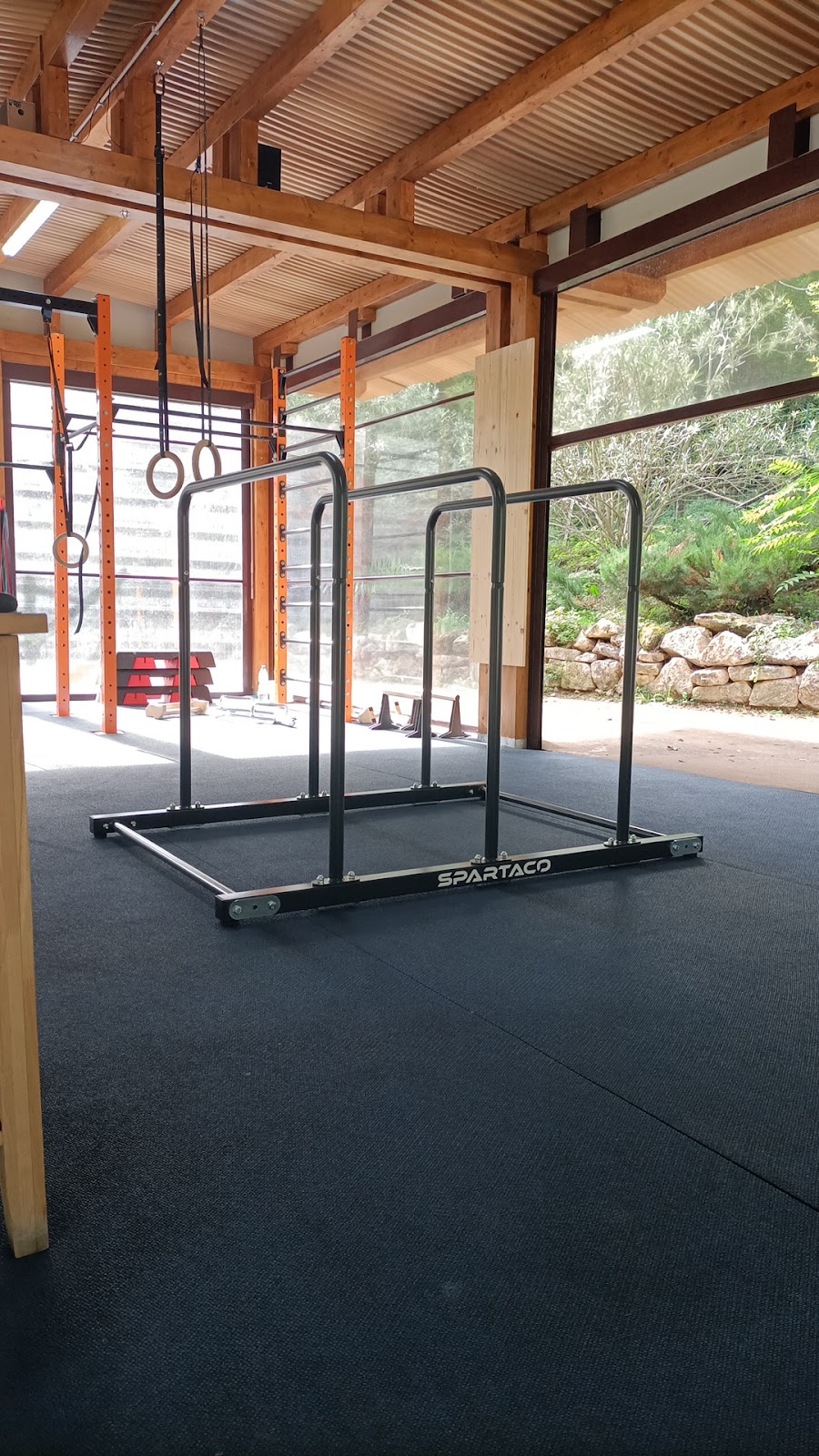 Calisthenics +Vista