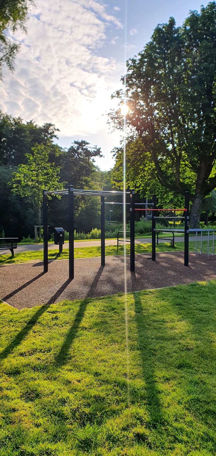 Calisthenics Vondel