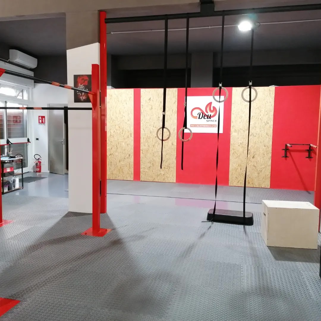 Deu Space - Pro Calisthenics Gym