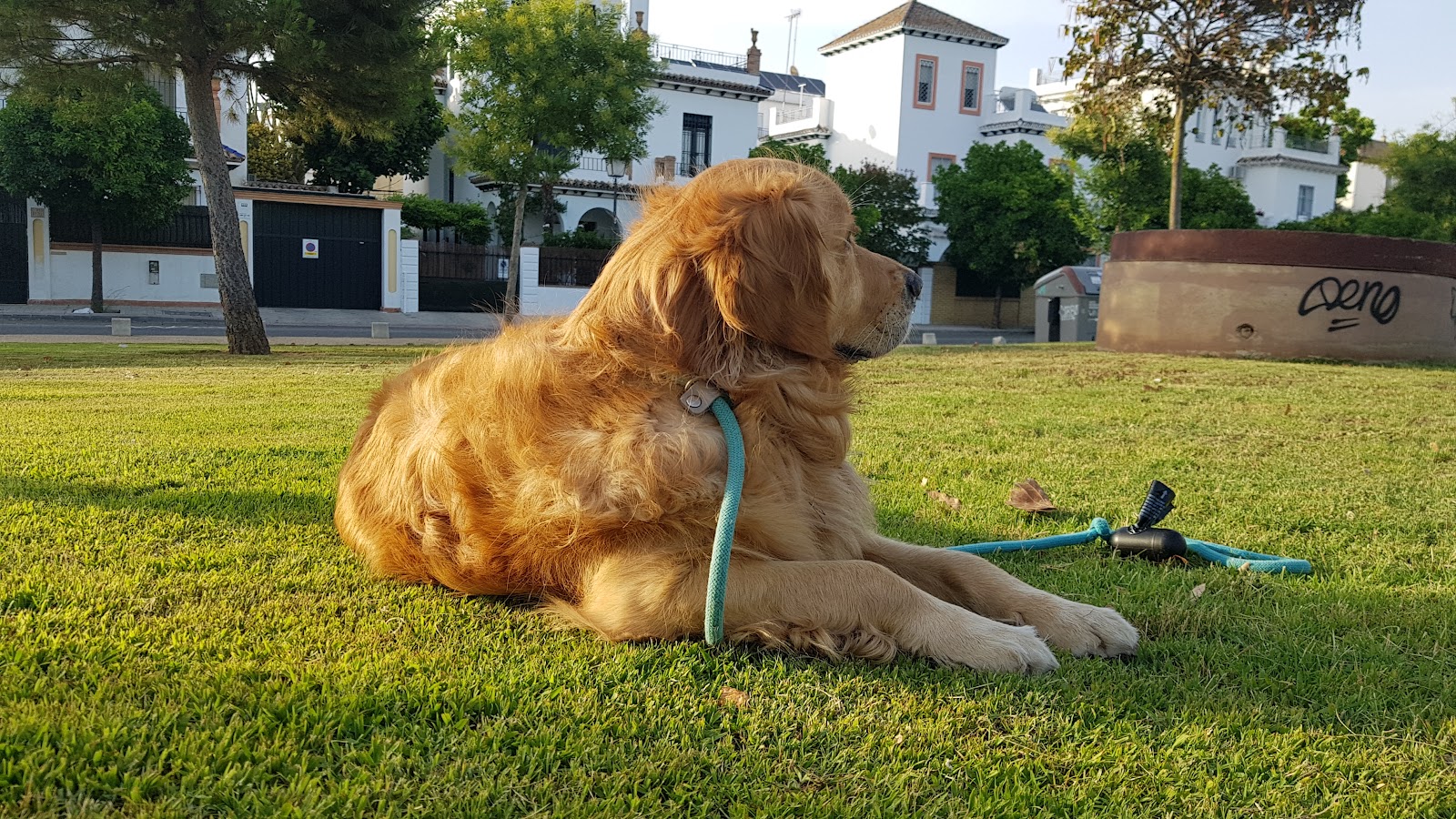El Podenco Park