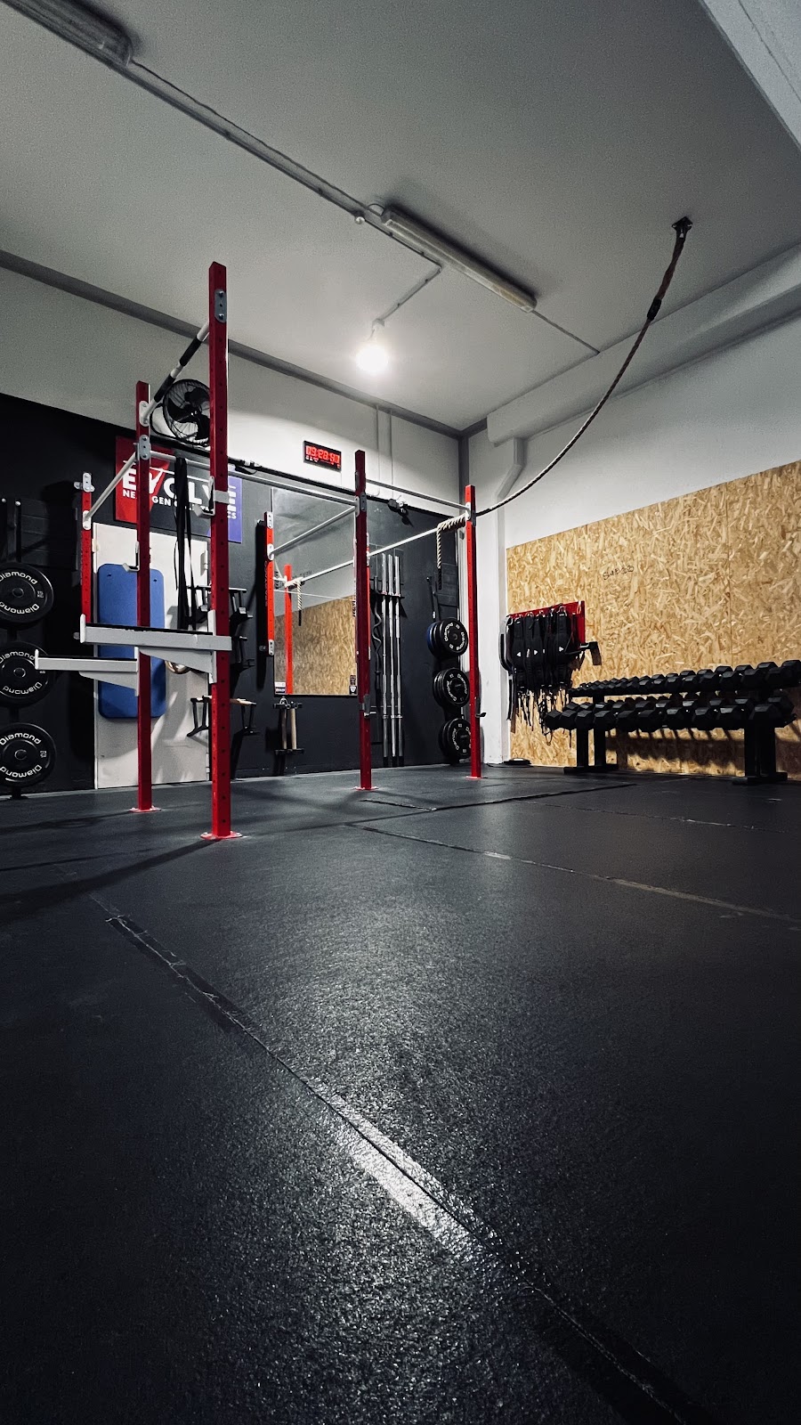 Evolve Training Club (Calisthenics & Aerial arts)