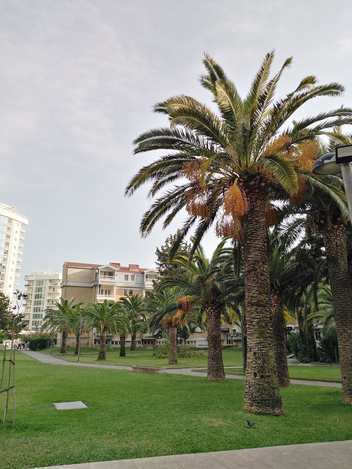 Fitness In Budva