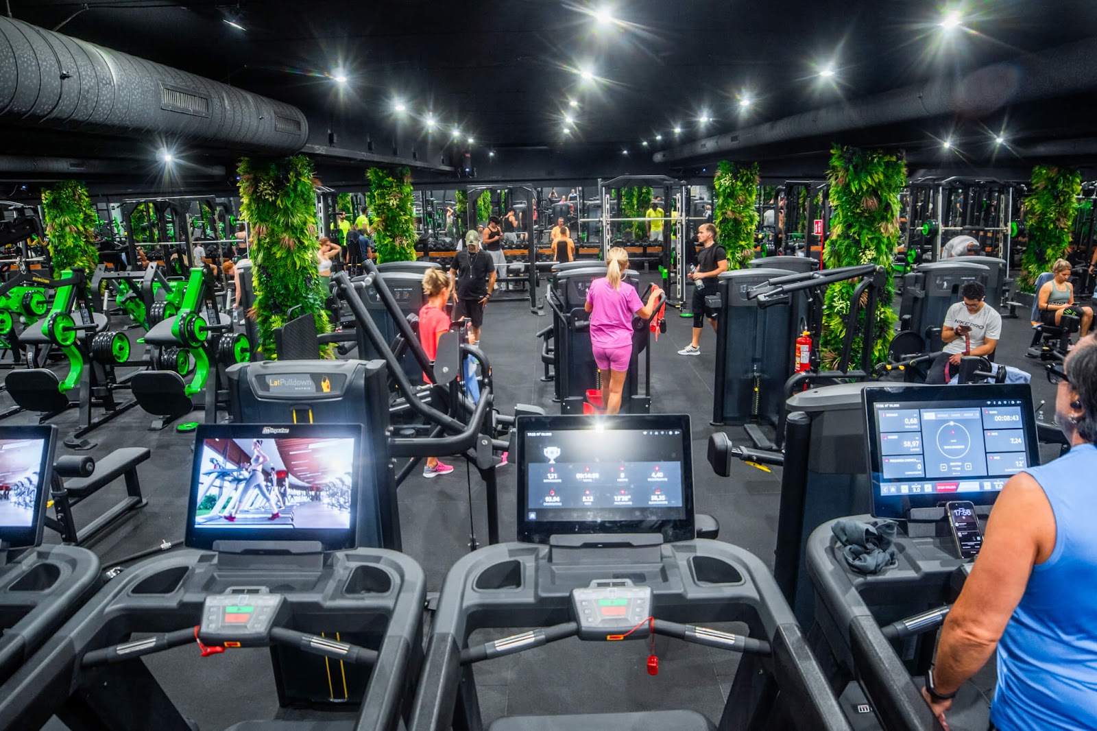 GreenTheory #11 StayFit