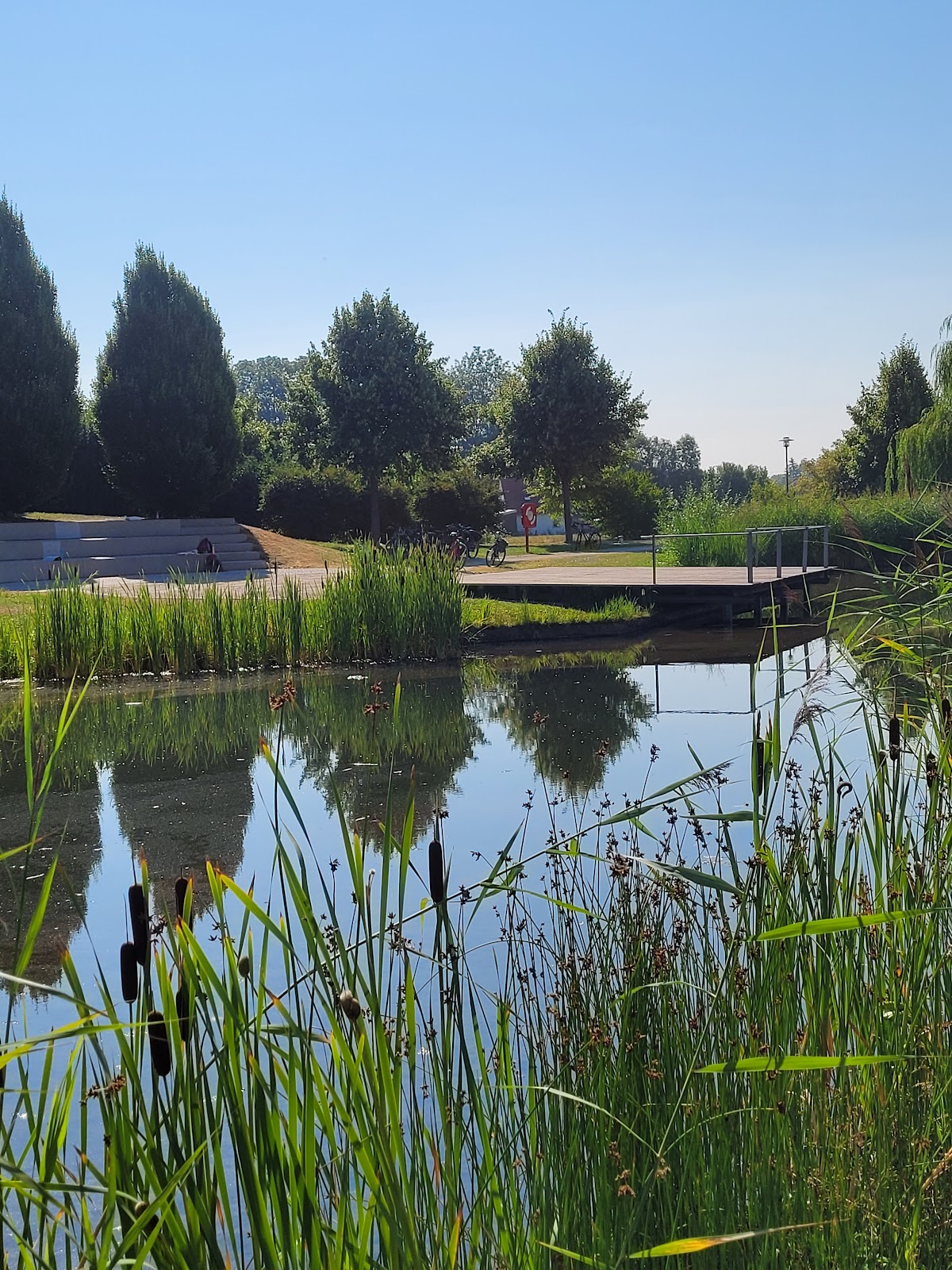 Hallbergmoos Calisthenic Park