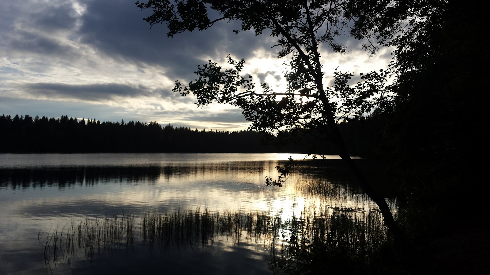 Hörnsjöns utegym