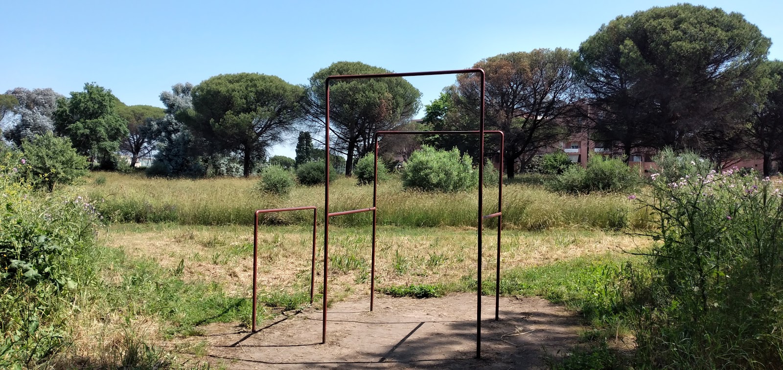 Impianto calisthenics