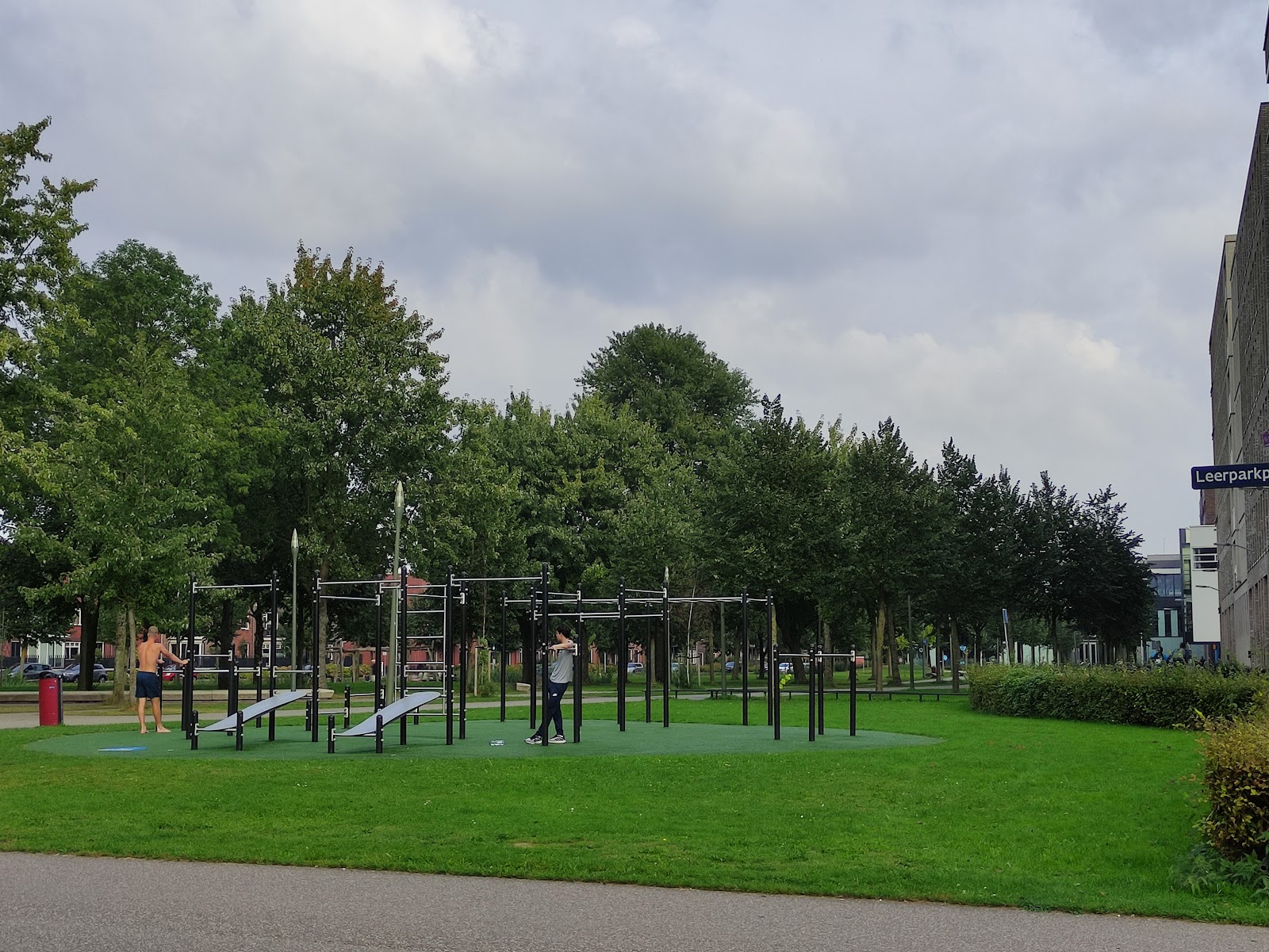 Jungle gym. Street workout
