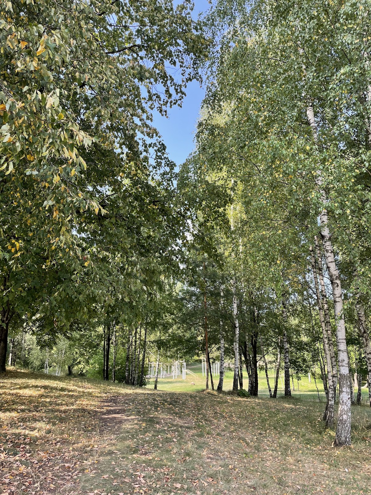Lauko sporto aikštelė