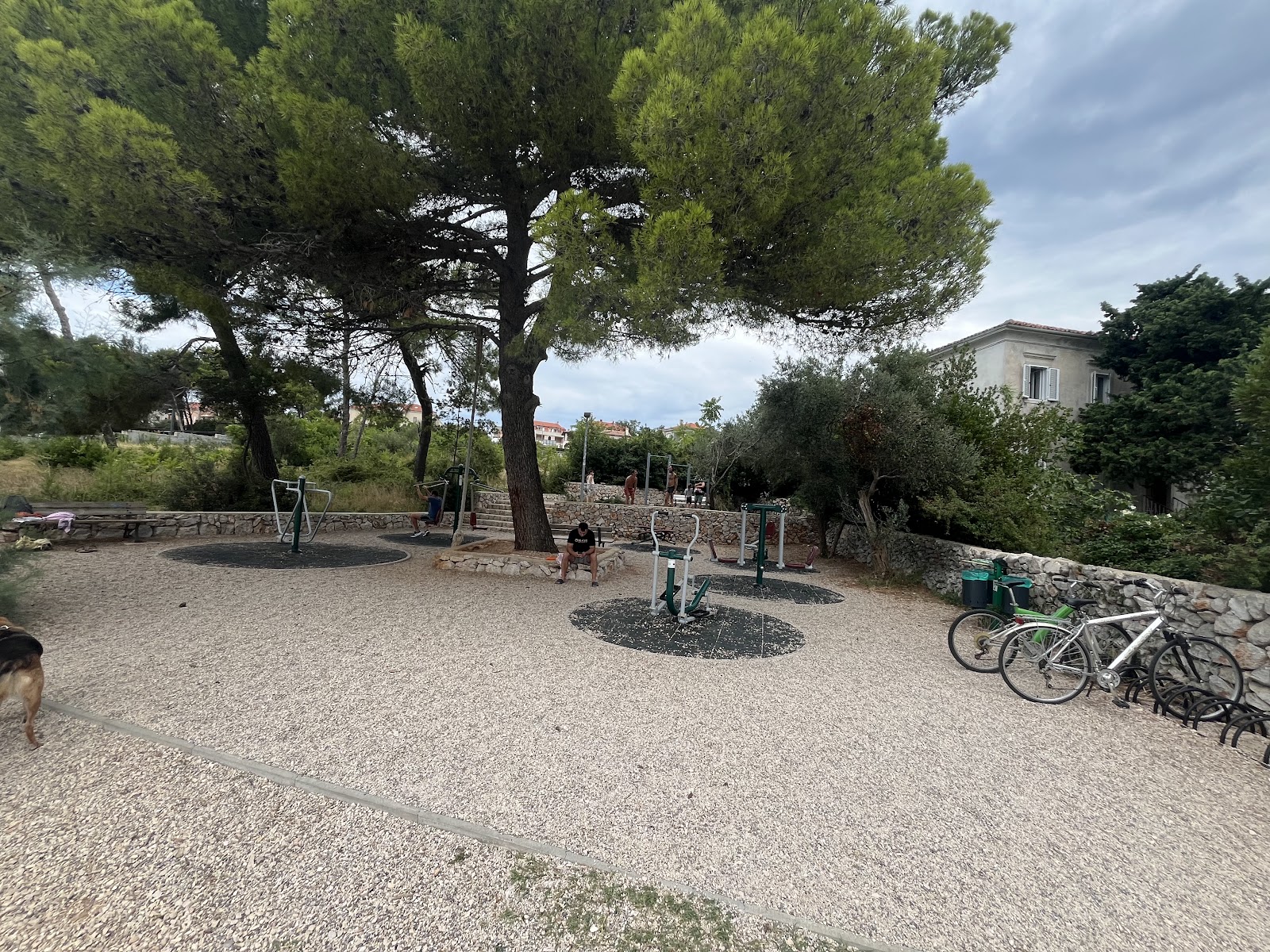Outdoor calisthenics workout space