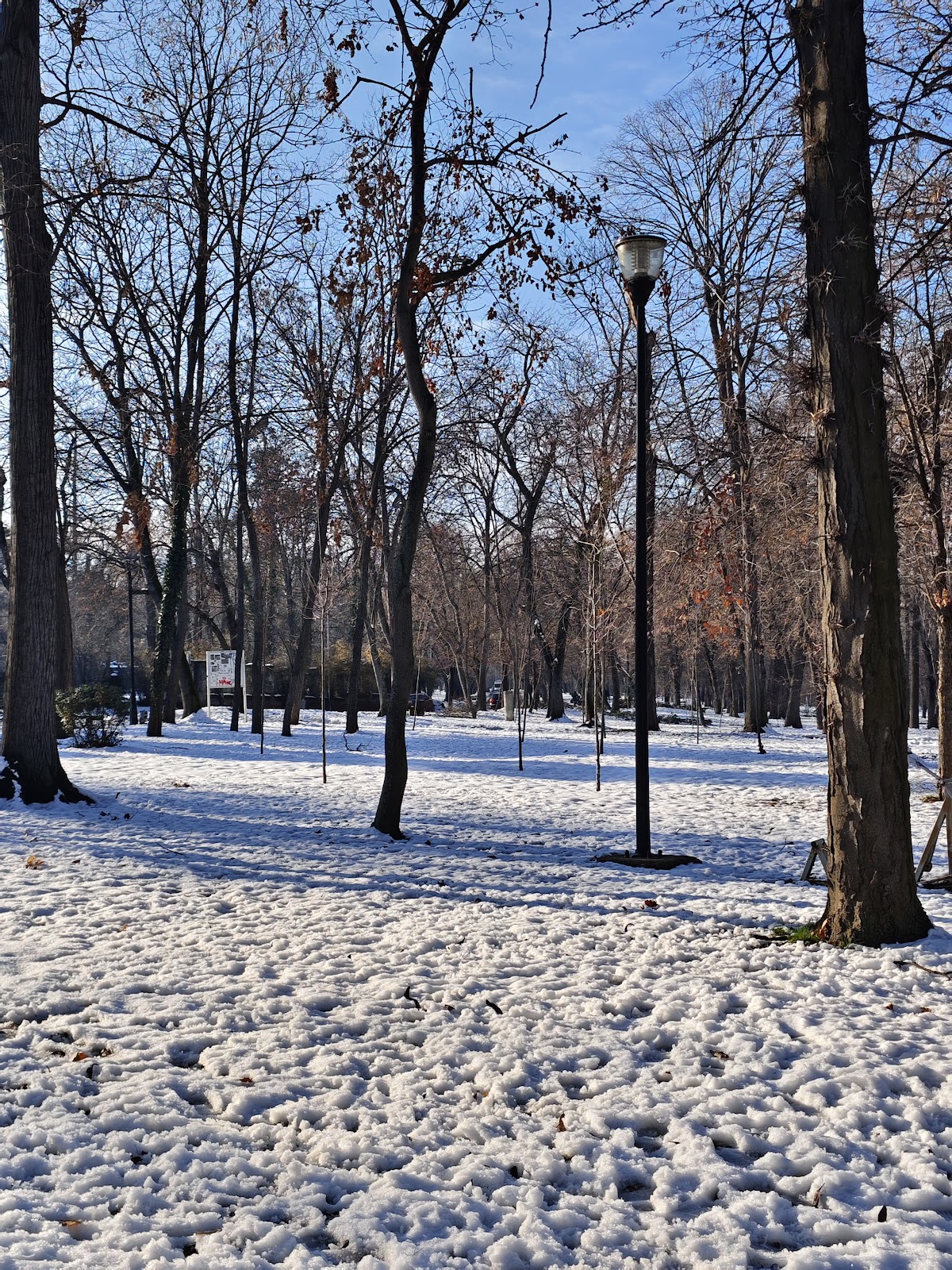 Outdoor Fitness Park