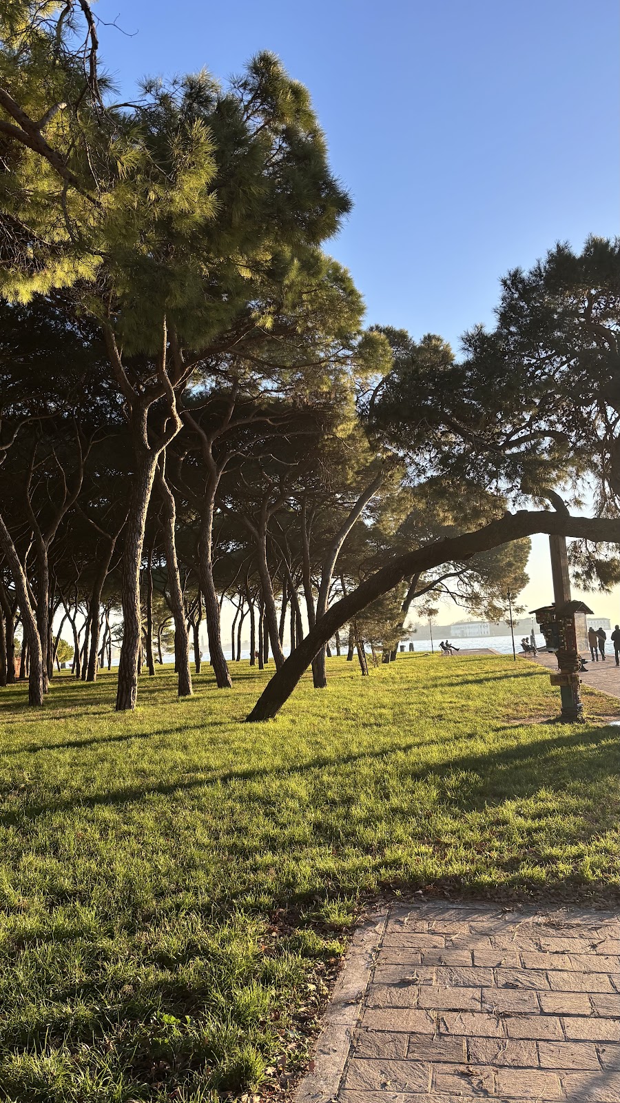 Outdoor gym and fitness court — Citta di Venezia