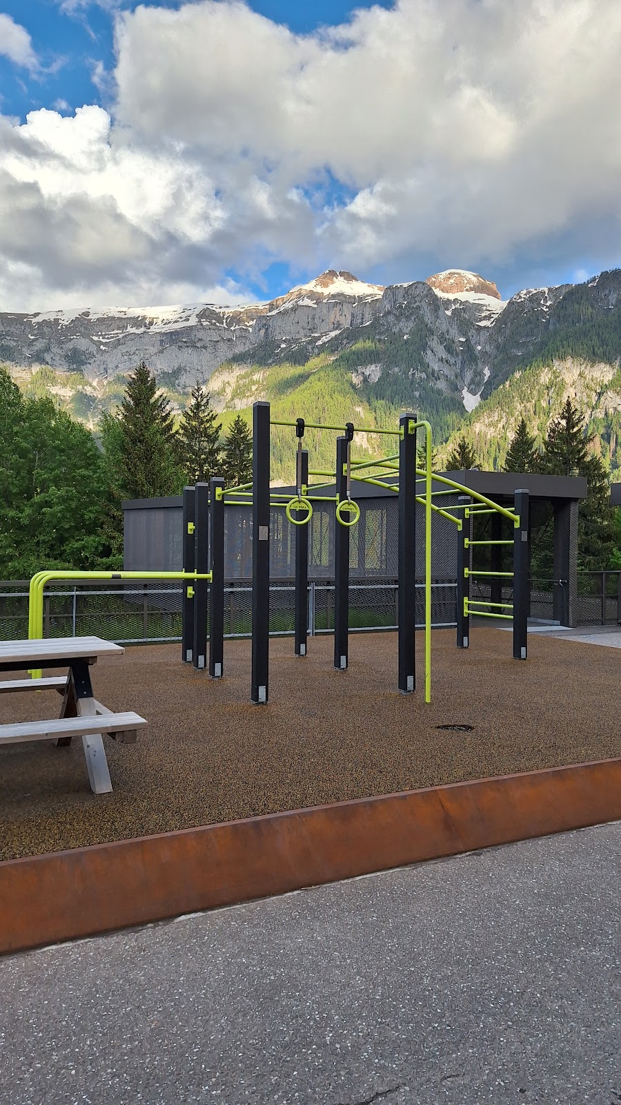 Palestra all'aperto (Parco Calisthenics)