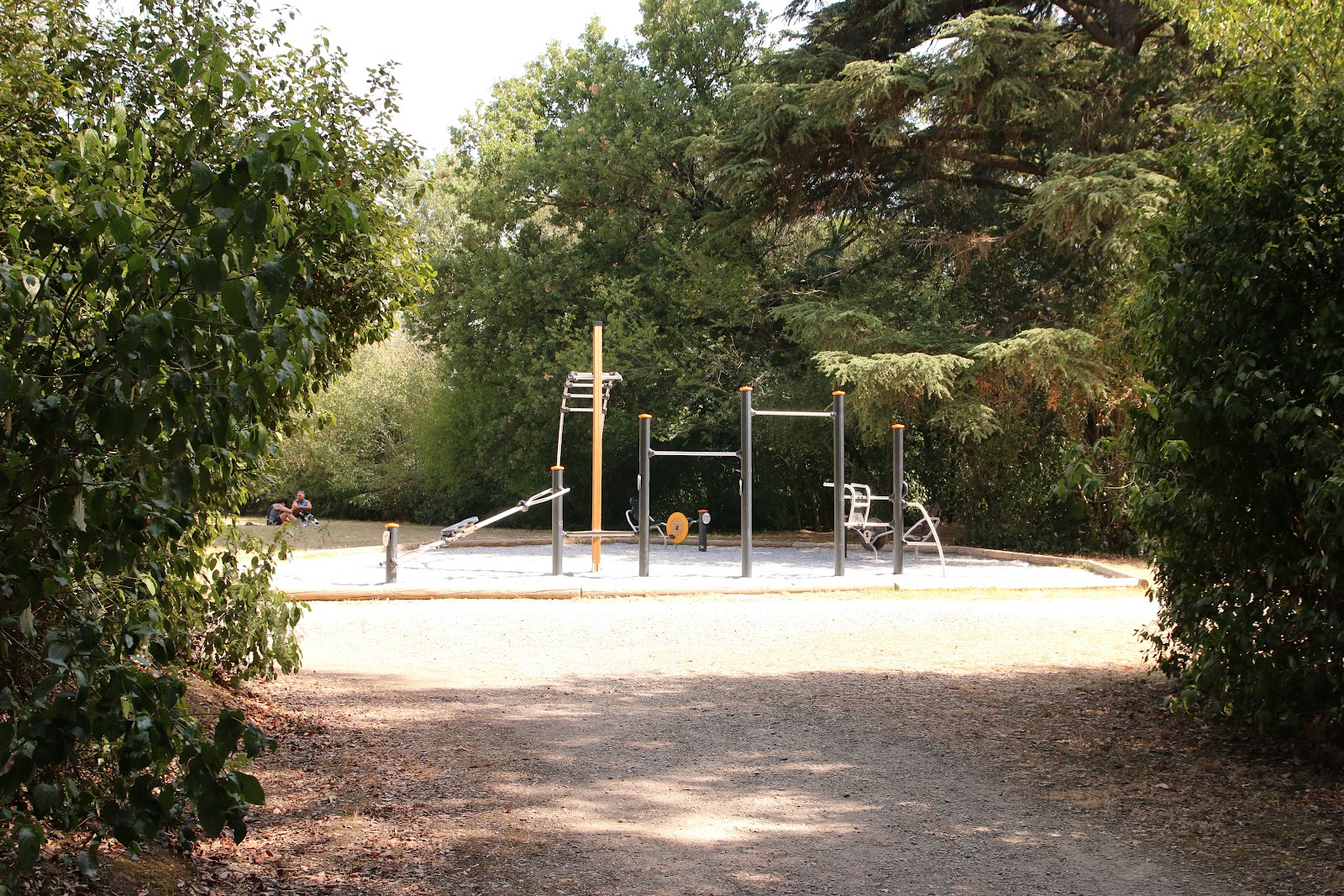 Palestra all'aperto Parco Tozzoni