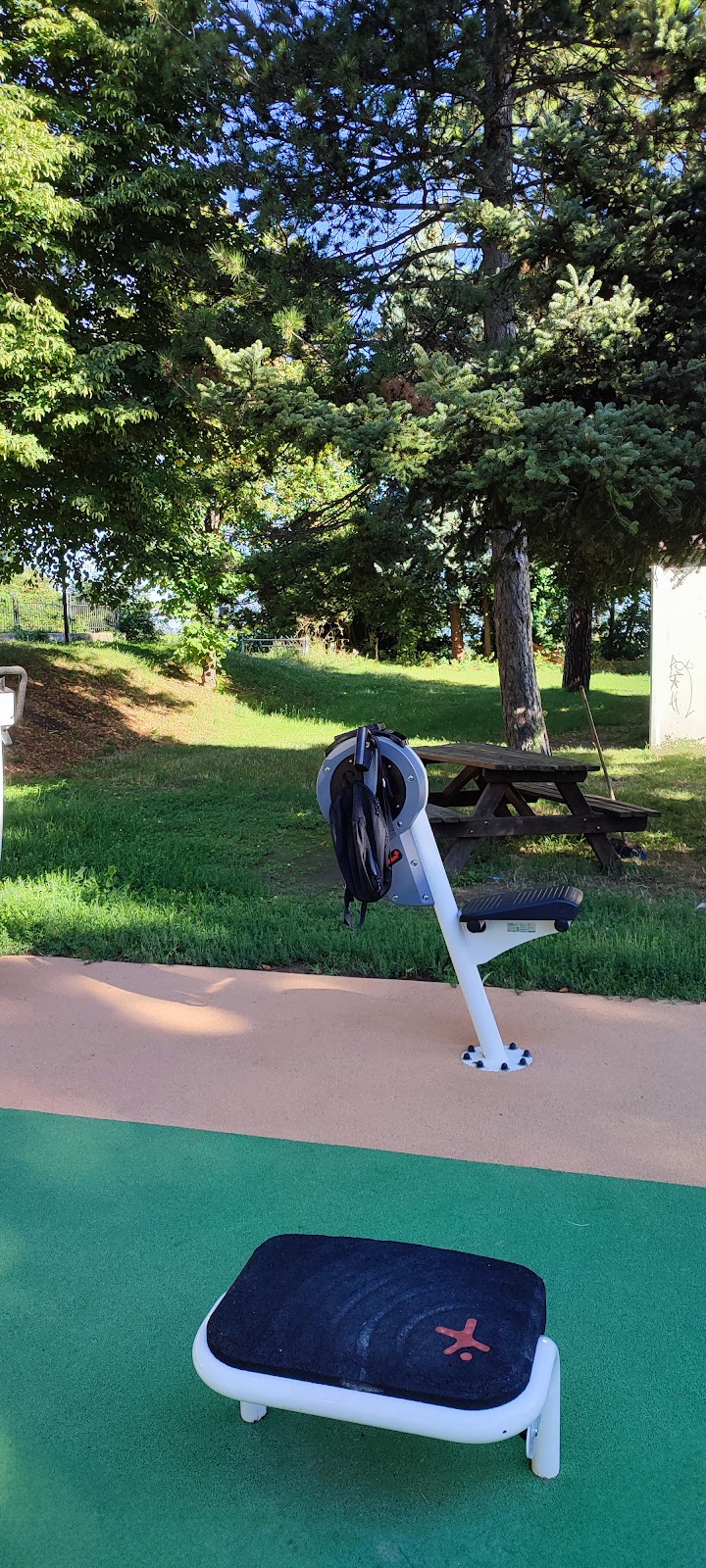 Palestra all'aperto street workout Parco Marinucci